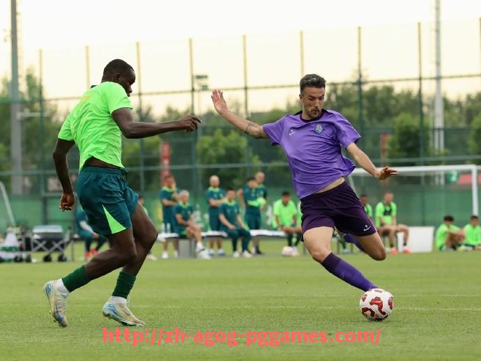 pg电子在线下载-世俱杯比赛阵容预测与战术安排深度分析