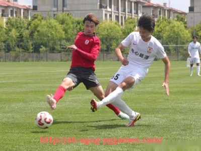 pg电子在线下载-德甲球队转播收入分成机制解析